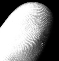 fingerprints forensic science history brush kids mortellaro stefano credit crime scene dust agencies match police try them