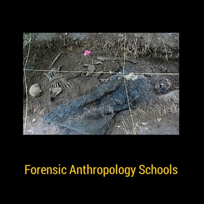 Forensic Anthropology Programs In Ontario