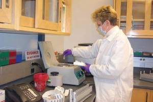 day in the life of a forensic scientist