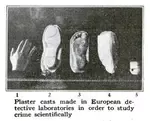 How Science Tracks The Criminal Article Image