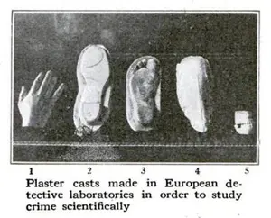 How Science Tracks The Criminal Article Image