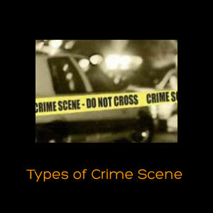 Types of Crime Scene