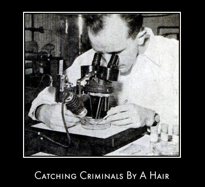 Criminalists: Full Text Article Featuring Paul L Kirk Criminalists: Full Text Article Featuring Paul L Kirk
