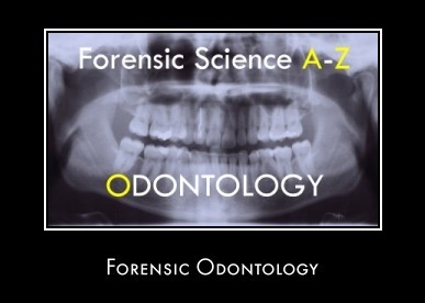 forensic odontology salary science odontologist tools india dentistry forensics career questions technician guide information visit anonymous dallas ga usa