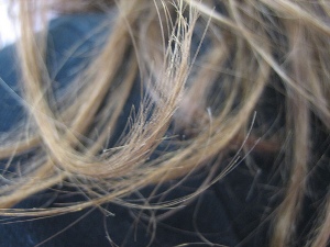 Forensic Hair Analysis Forensic Hair Analysis