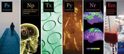 bachelor of arts in forensic science and technology internships