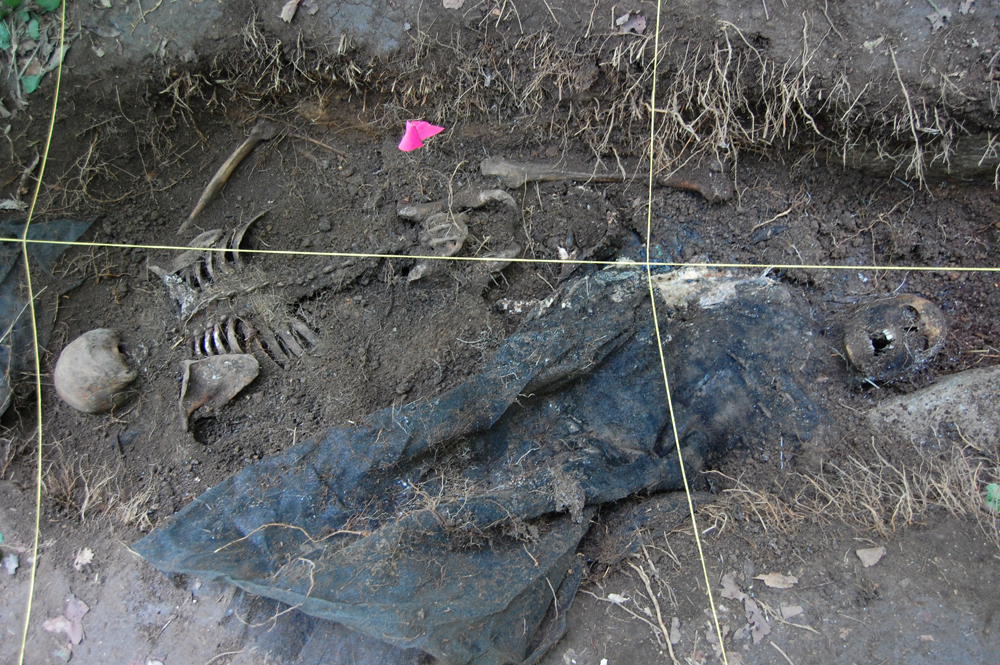 skeletal human remains