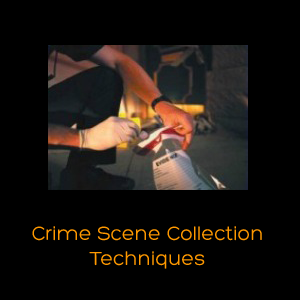 Crime Scene Collection Techniques.