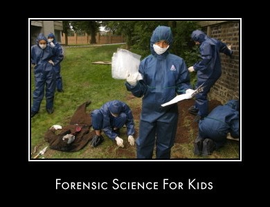 Picture courtesy of kimberlee Moran, forensic outreach