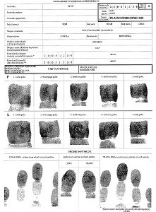 Photo Credit:  Michał Kasprzak Photo Credit:  Michał Kasprzak