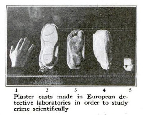 Classic Forensic Science Article
