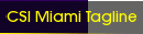 CSI Miami Tagline